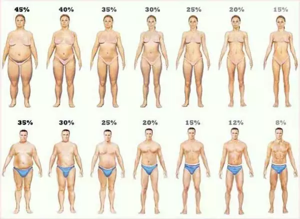 Výživové poradenství | Určení procenta tělesného tuku